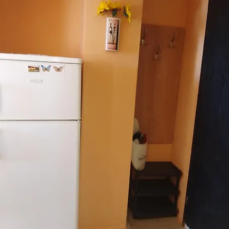 студио александрови *